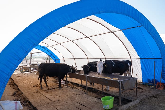 Tarım ve Orman Bakanlığı'ndan yapay et iddialarına yalanlama