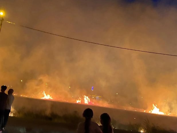 Diyarbakır'da 40 dönüm buğday tarlası yangında kül oldu