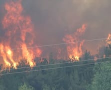 Orman yangınları bilançosu açıklandı: 10 orman çalışanı ve AKUT gönüllüsü şehit, milyonlarca liralık destek