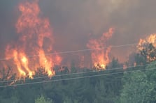 Orman yangınları bilançosu açıklandı: 10 orman çalışanı ve AKUT gönüllüsü şehit, milyonlarca liralık destek