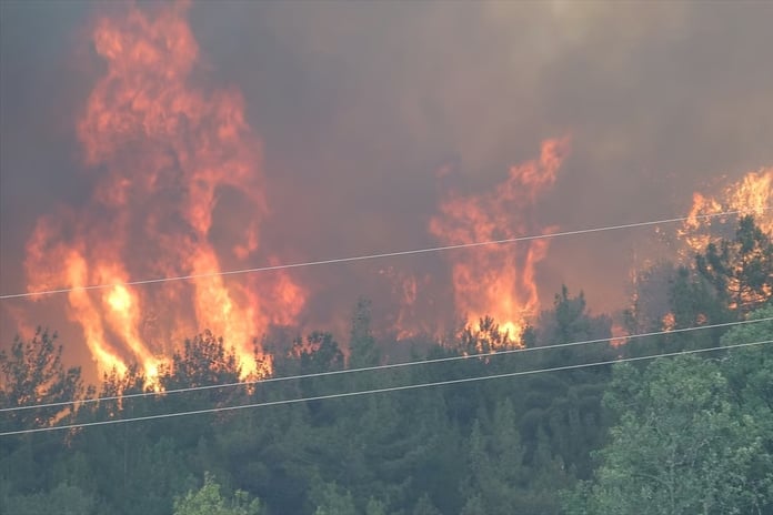 Orman yangınları bilançosu açıklandı: 10 orman çalışanı ve AKUT gönüllüsü şehit, milyonlarca liralık destek