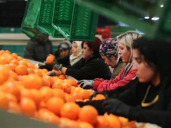 Kadın çalışanların toplam ihracattaki payı yüzde 23,5'e yükseldi