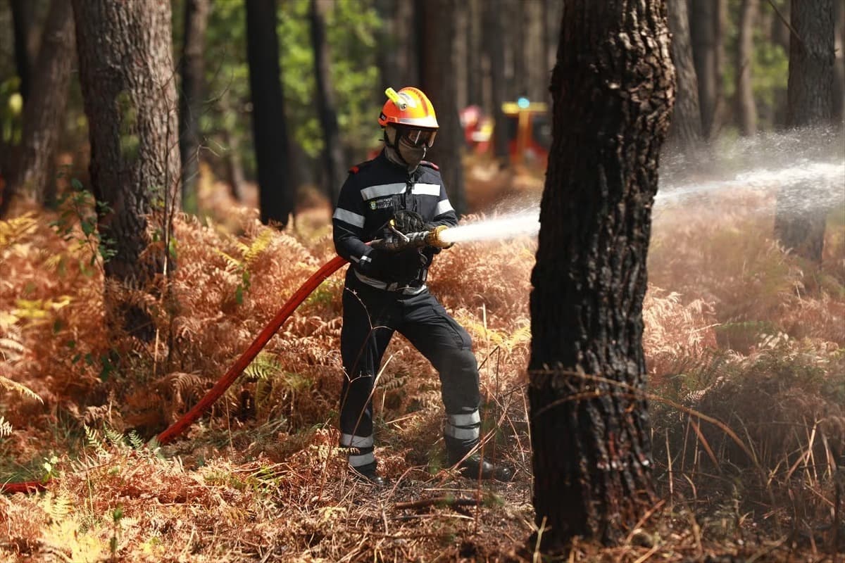 AB'de orman yangını alarmı: 435 bin hektar kül oldu