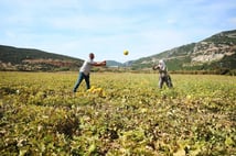 Denizli'nin o lezzeti tescillendi: Türkiye’de tescilli ürün sayısı 2 bine yaklaştı