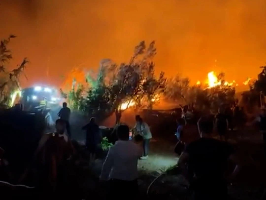 Fethiye'de ormanlık alanda yangın