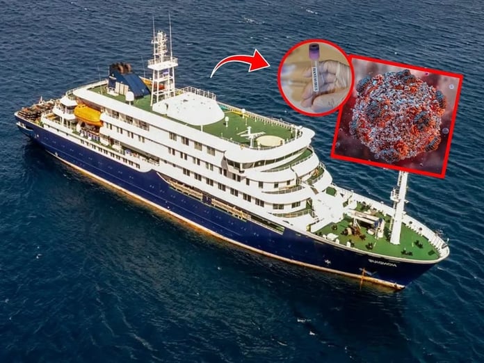 DSÖ alarma geçti: Hantavirüs nedir, nasıl bulaşır? İşte hantavirüsün o belirtileri