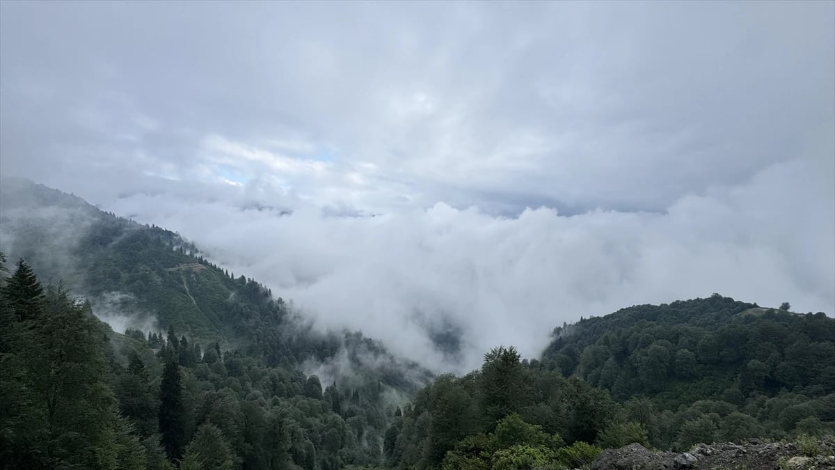 Borçka Karagöl Tabiat Parkı'na ziyaretçi akını