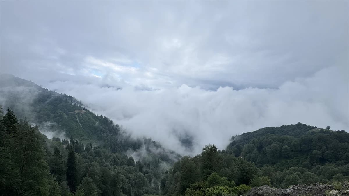 Borçka Karagöl Tabiat Parkı'na ziyaretçi akını