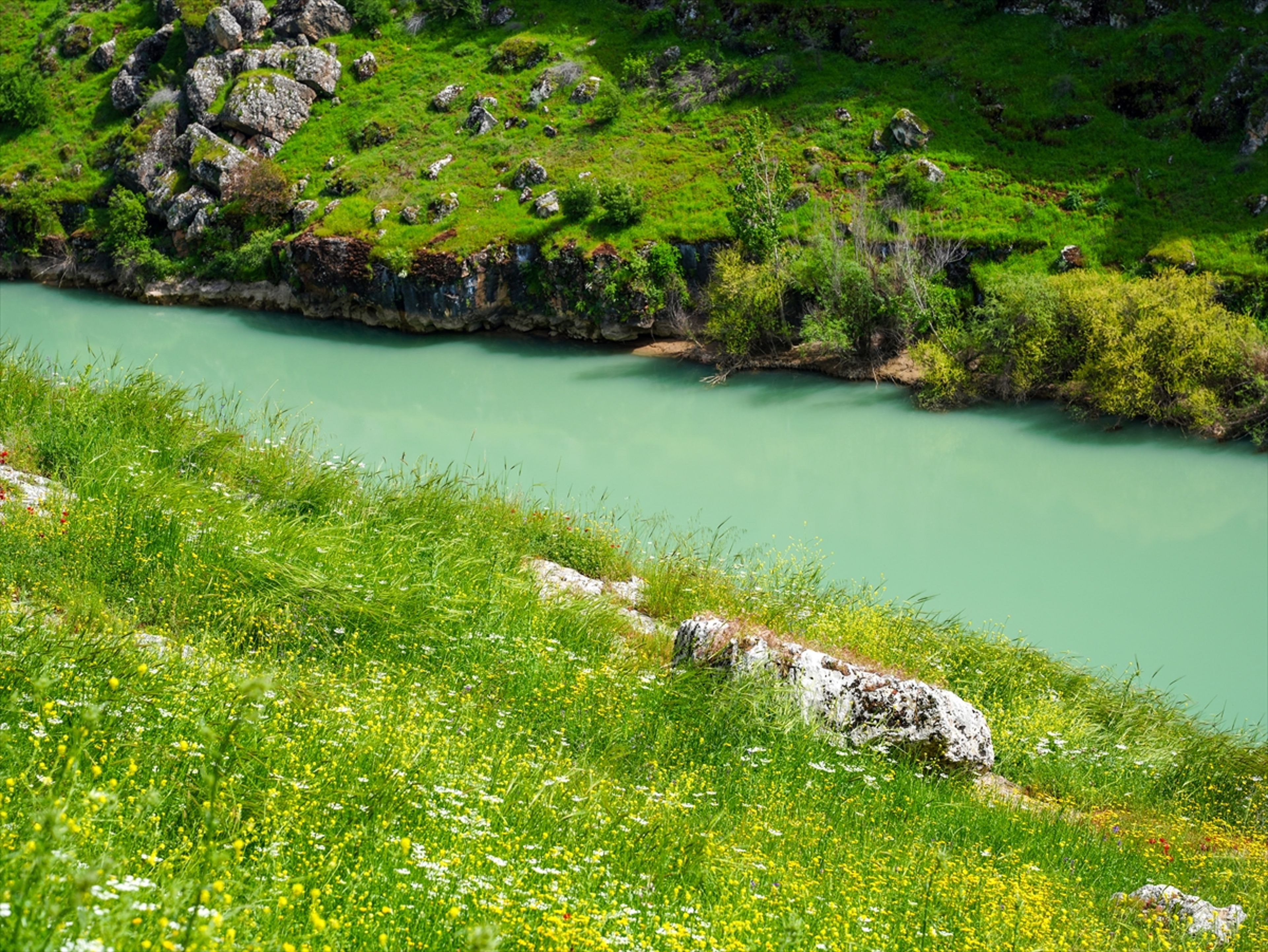Galeri Fotoğrafı