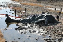 Güney Kore’de askeri helikopter düştü: 2 asker hayatını kaybetti