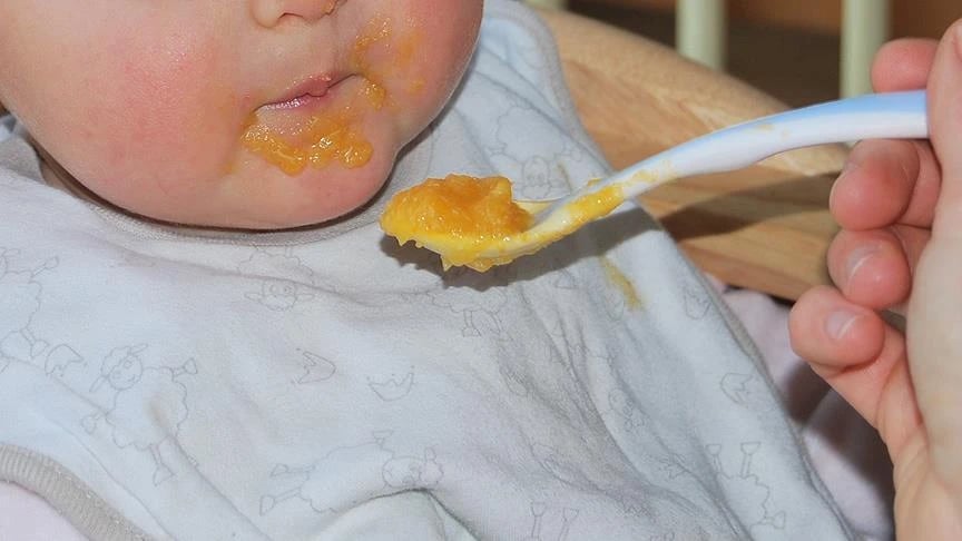 Mikroplastik hangi bebek mamalarında var