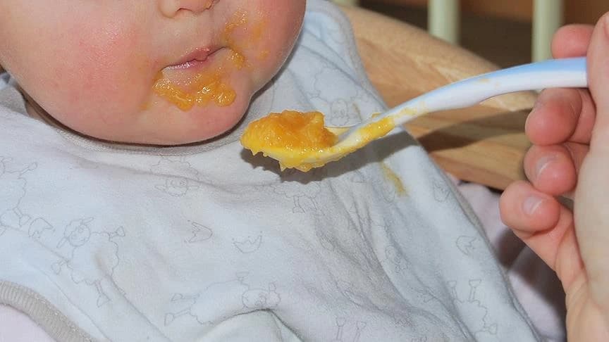 Mikroplastik hangi bebek mamalarında var