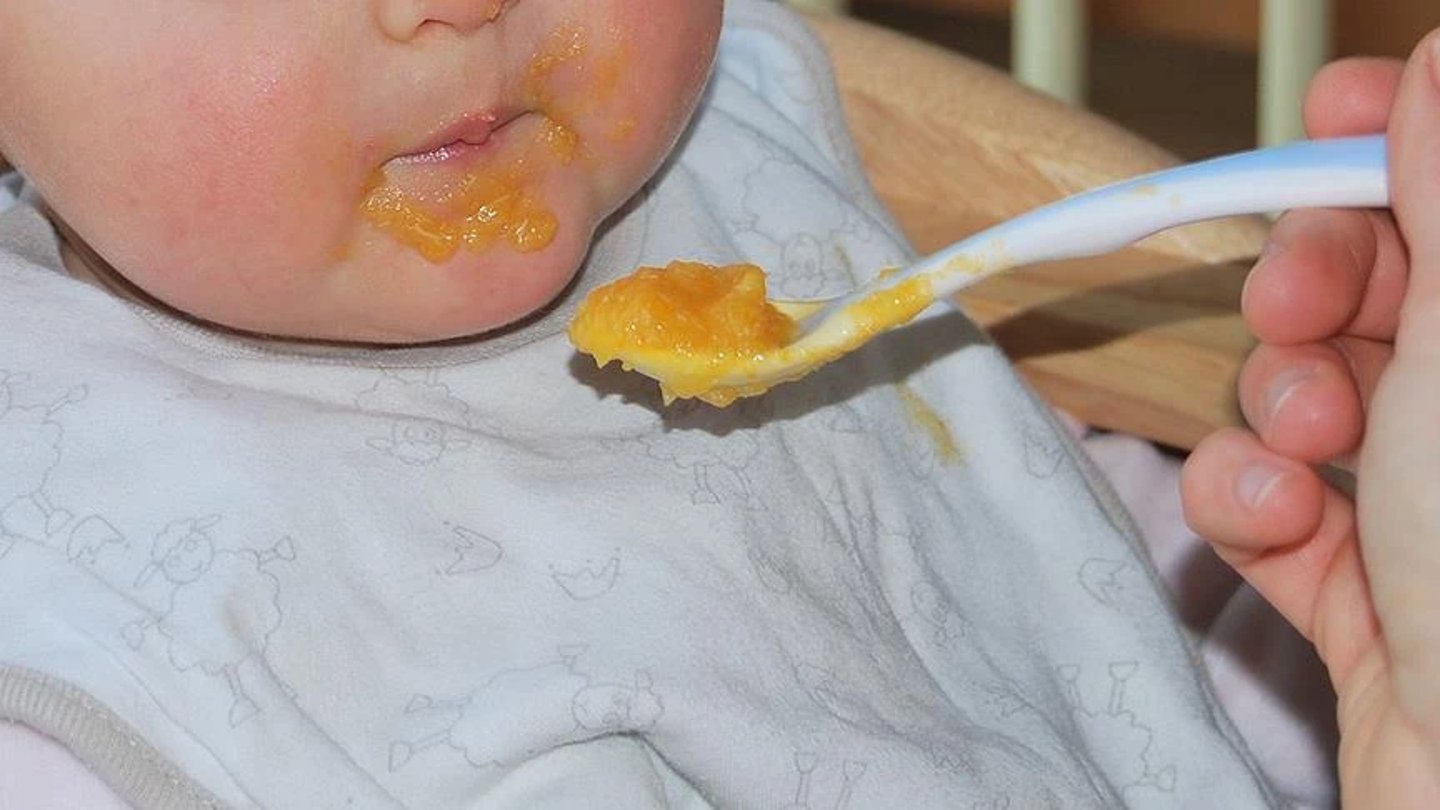 Mikroplastik hangi bebek mamalarında var