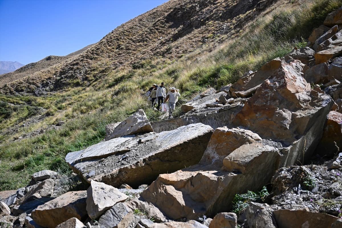 3 bin 547 metre rakımlı Arnos Dağı'nda doğal bal keşfi