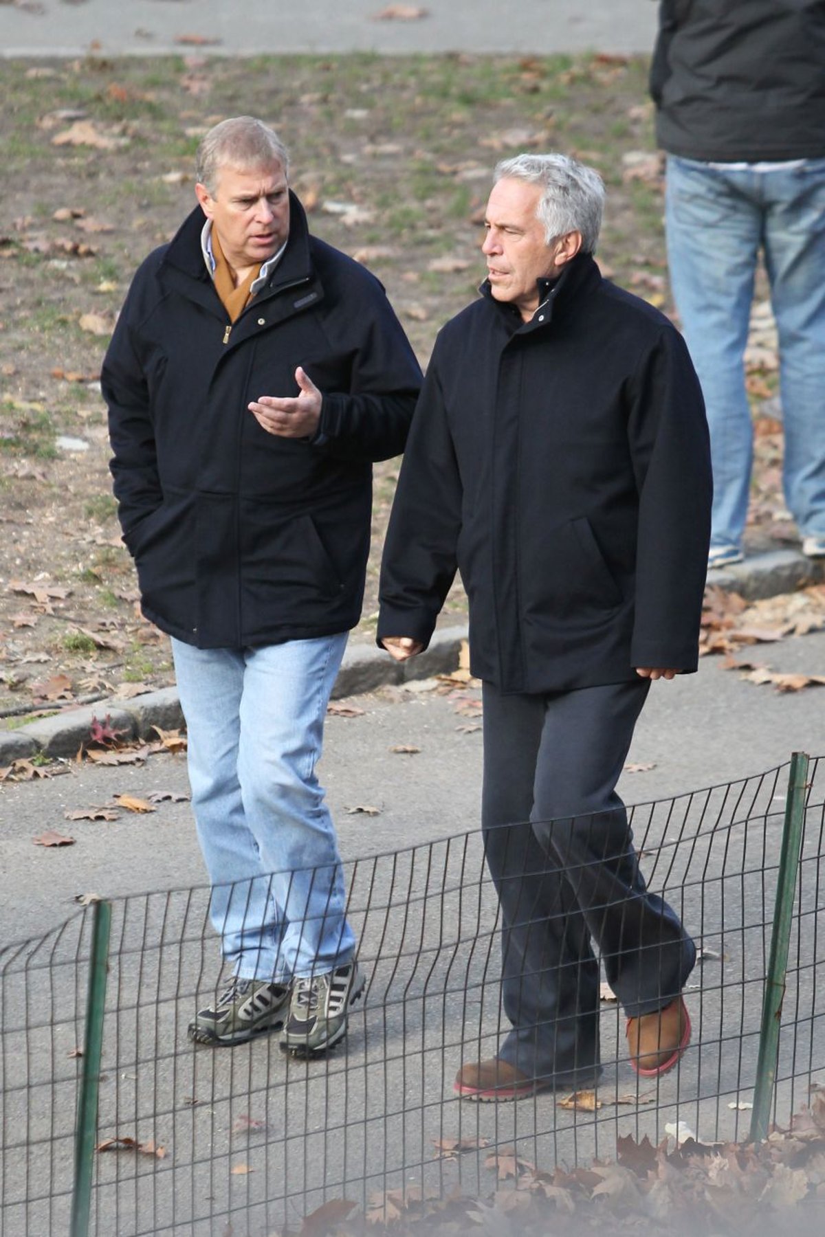 Prens Andrew ile Jeffrey Epstein - New York Central Park 2011 / The Sun