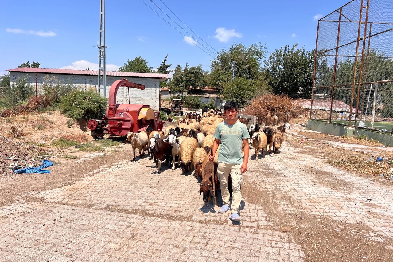 Öksüz ve yetim çobandan kendine sahip çıkan aileye yürek ısıtan teşekkür
