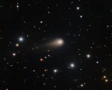 Gezegen tohumu olabilir mi: 31/ATLAS gizemi