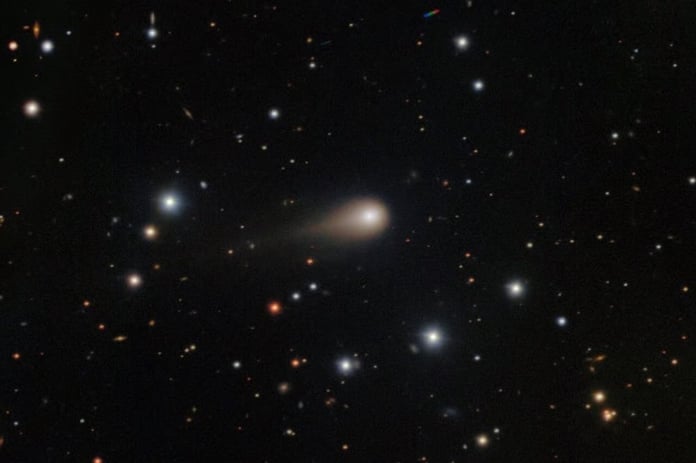 Gezegen tohumu olabilir mi: 31/ATLAS gizemi