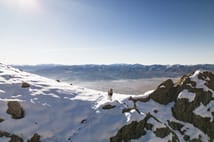 Tunceli zirvelerinde doğanın sürprizi: Çengel boynuzlu dağ keçileri