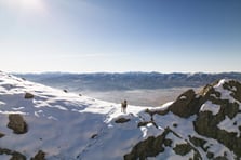 Tunceli zirvelerinde doğanın sürprizi: Çengel boynuzlu dağ keçileri