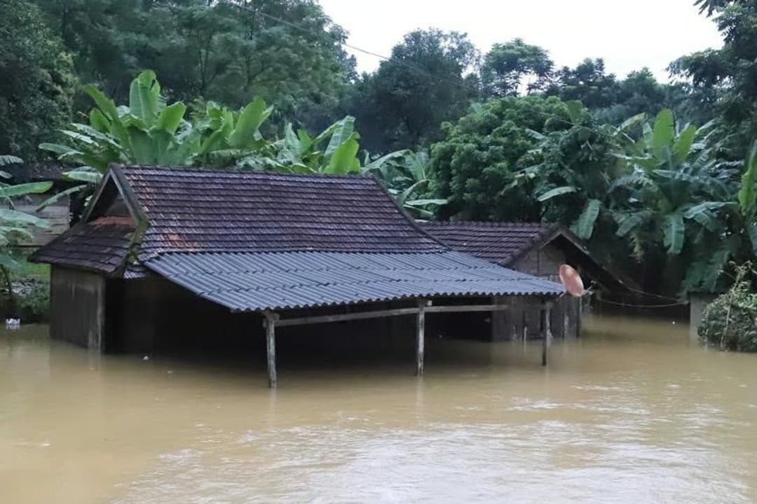 Vietnam'da selin acı bilançosu artıyor