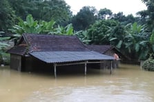 Vietnam'da selden ölenlerin sayısı 36'ya yükseldi