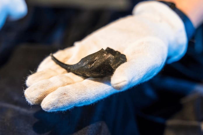 Çek Cumhuriyeti'nde Roma askerinin bronz bilek çantası bulundu