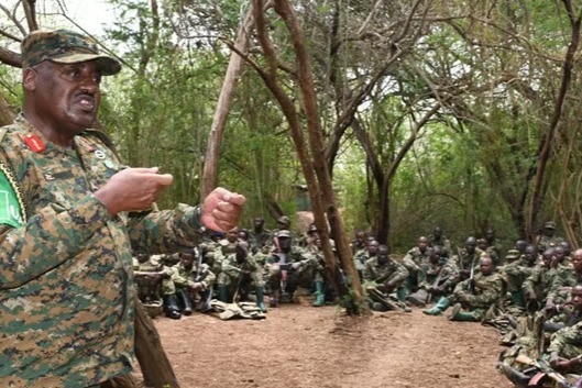 Seven Ugandan Troops Killed in Somali Offensive