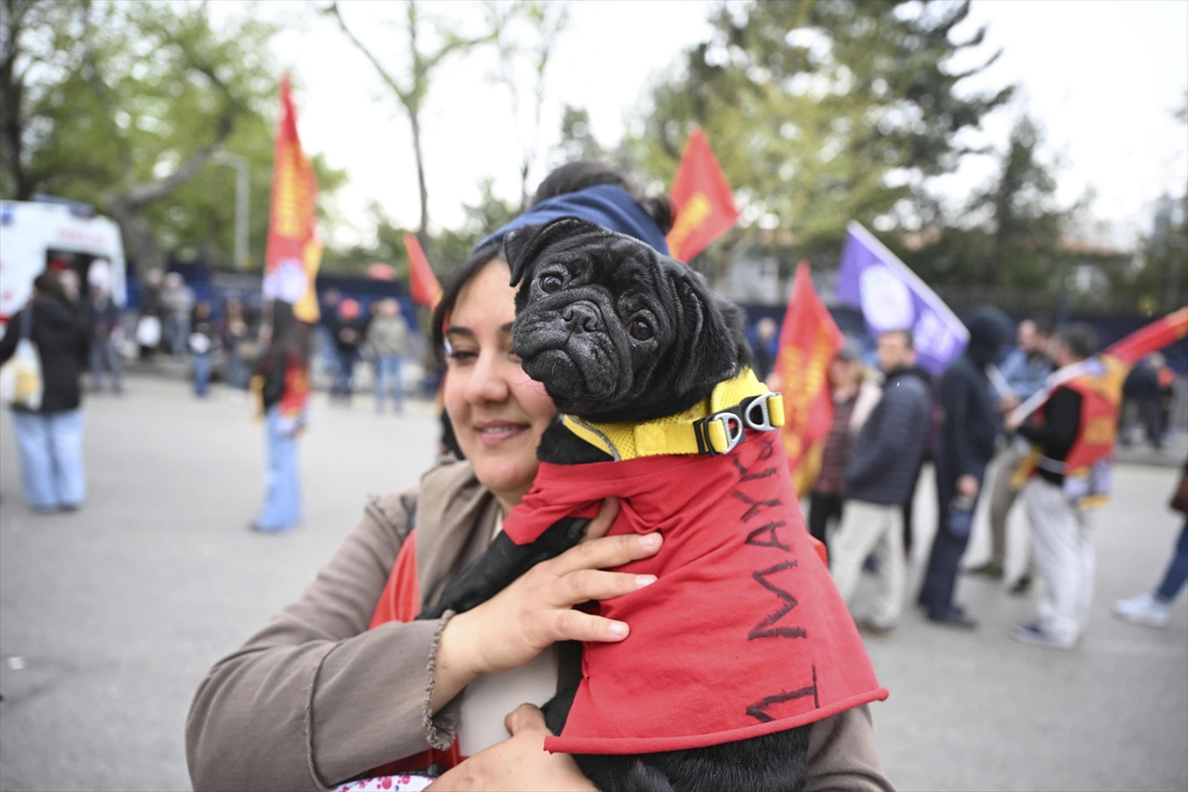 Galeri Fotoğrafı
