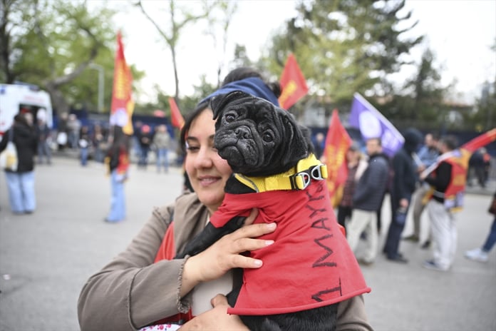 Galeri Fotoğrafı