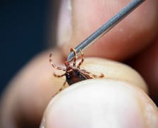 Besicilerden kene uyarısı: Radarına girerseniz sizi bulur