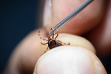 Besicilerden kene uyarısı: Radarına girerseniz sizi bulur