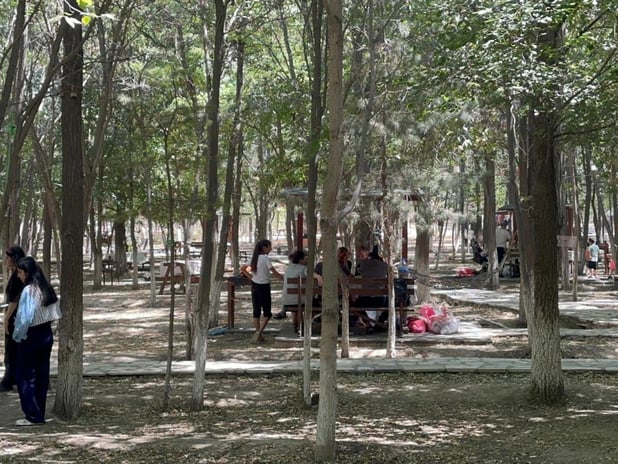 Kent ormanında kampanya: Çöpünü topla, giriş ve hizmet ücreti ödeme