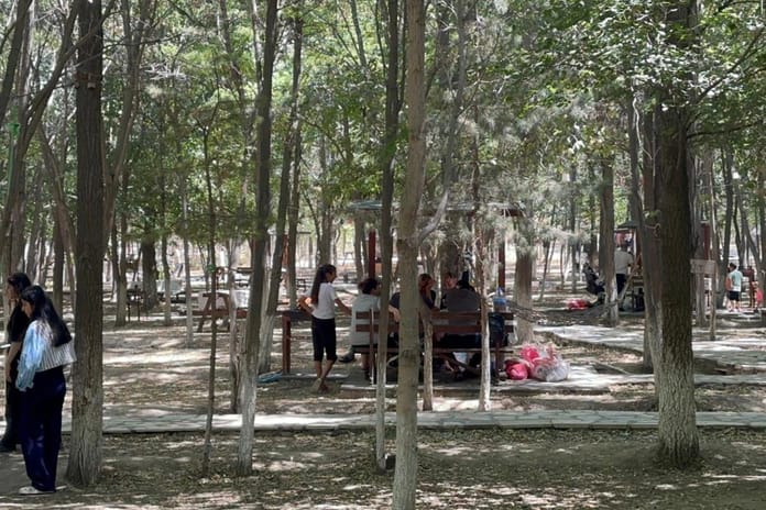 Kent ormanında kampanya: Çöpünü topla, giriş ve hizmet ücreti ödeme