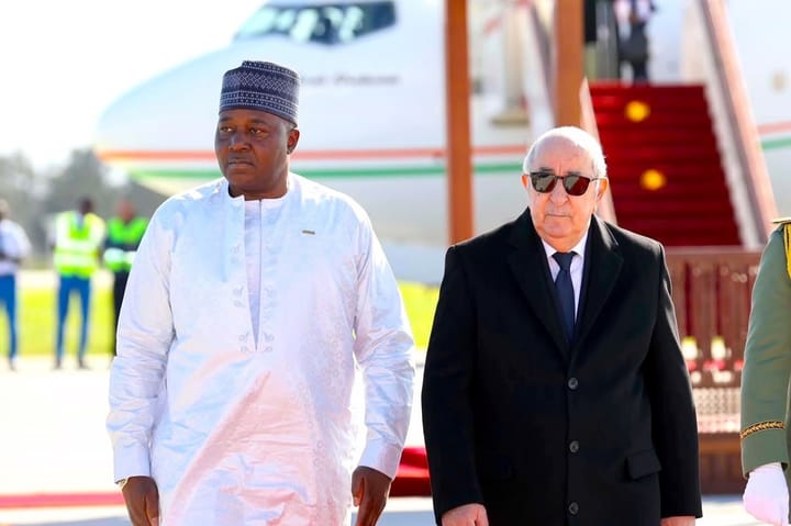 "New Dynamic": Algeria & Niger Revive Relations via Energy