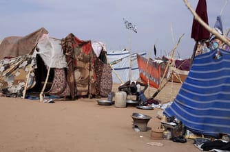 Survivors: "UAE Support Powered RSF Brutality in Darfur"