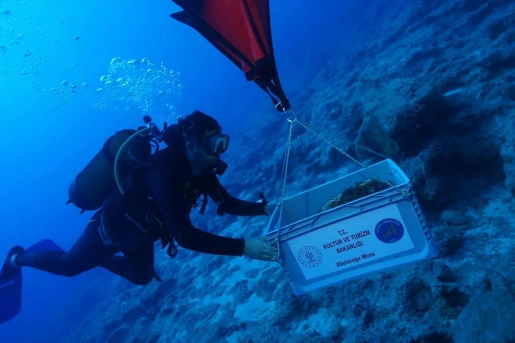 Kekova'da dünyanın en eski batığında amfora keşfi