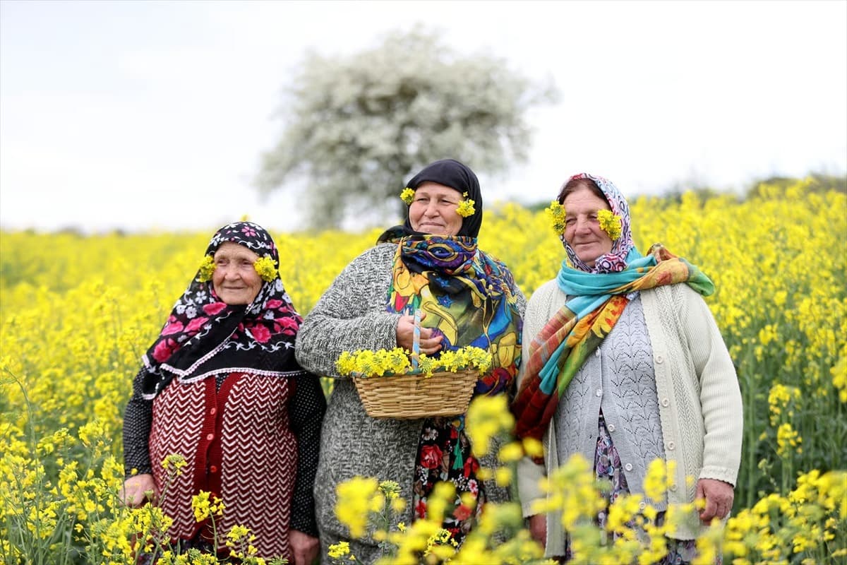 Trakya'da 'sarı selin' mevsimi: Fotoğraf tutkunları bölgeye akın etti 