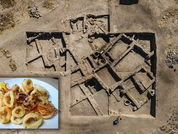 Konyalılar 3 bin 500 yıl önce kalamar tüketmiş