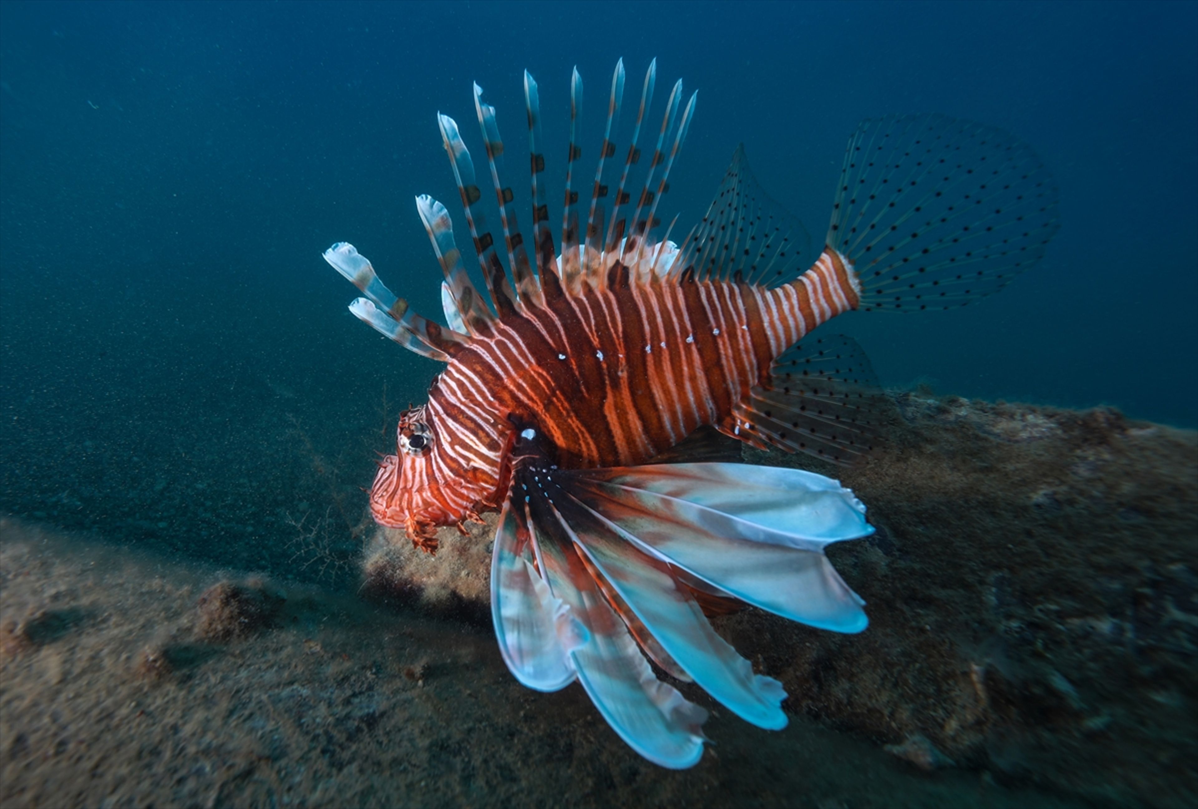 Galeri Fotoğrafı