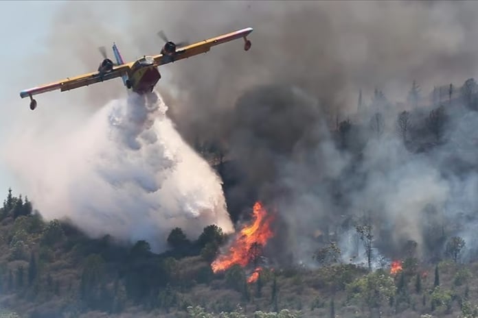 Jandarma'dan orman yangınlarına ilişkin soruşturma: 17 şüpheli gözaltında