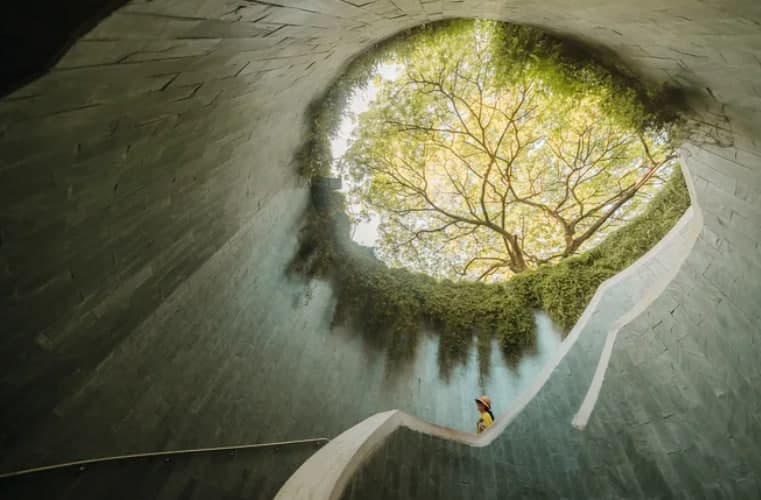 National Geographic yarışmasındaki etkileyici fotoğraflar