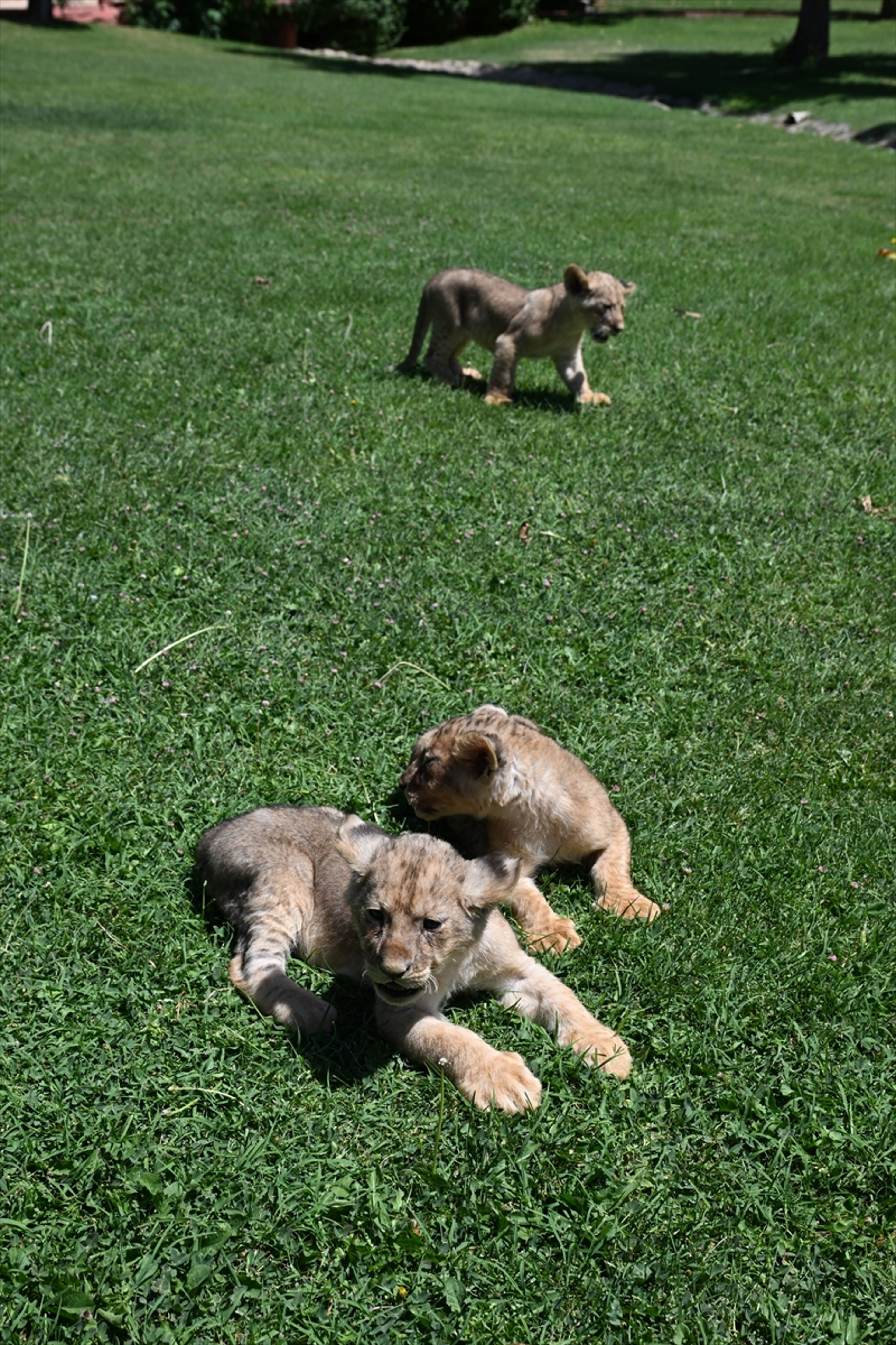 Galeri Fotoğrafı