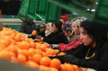 Kadın çalışanların toplam ihracattaki payı yüzde 23,5'e yükseldi