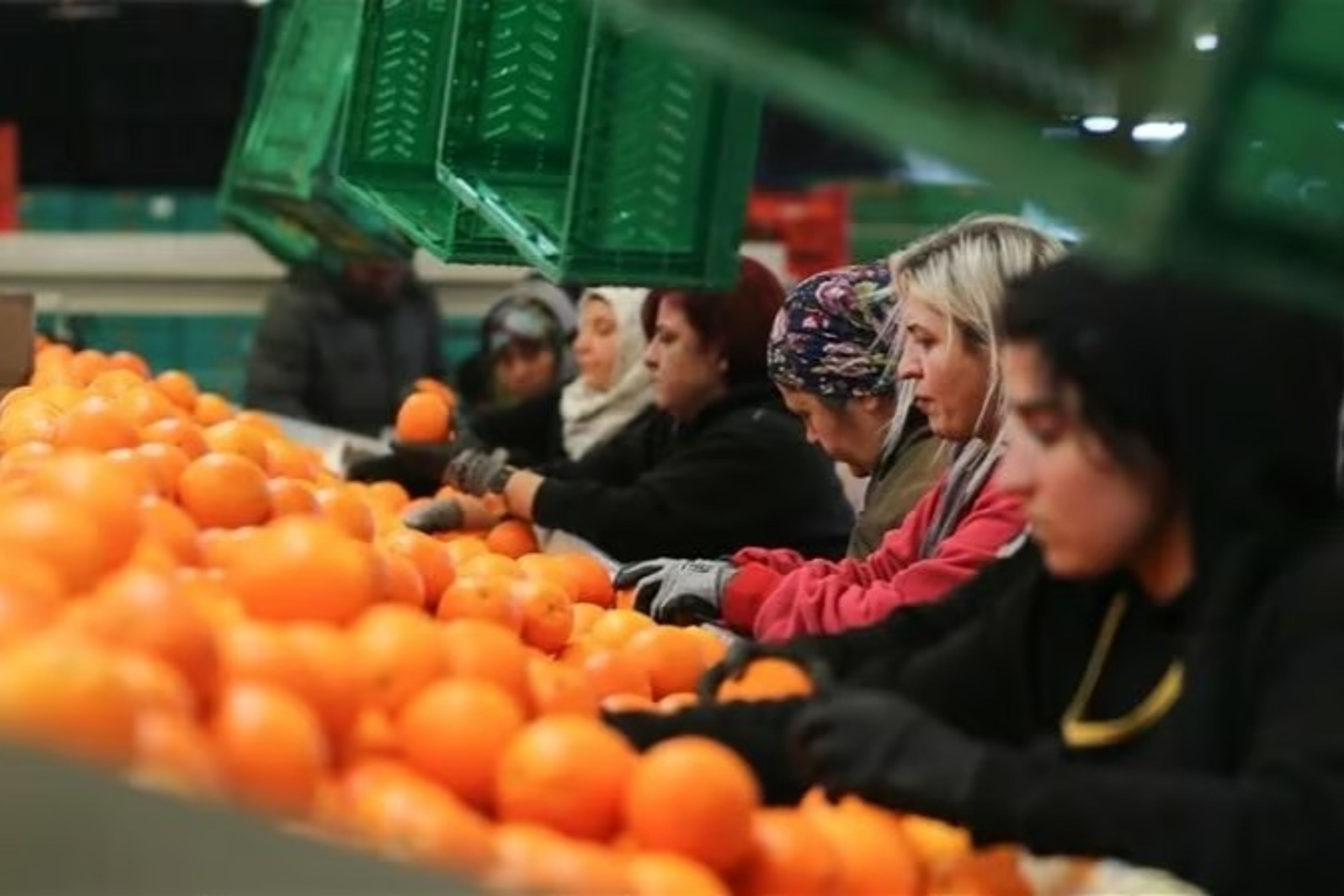 Kadın çalışanların toplam ihracattaki payı yüzde 23,5'e yükseldi