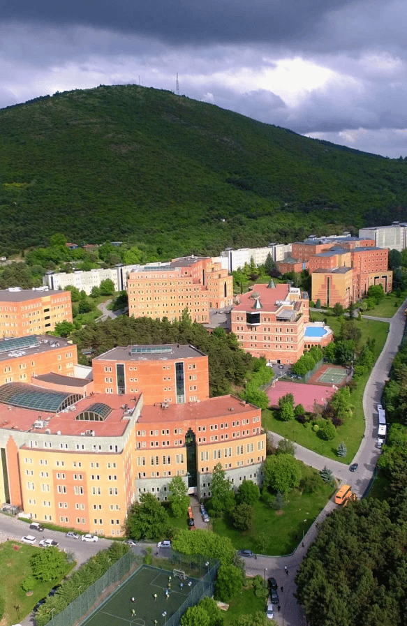 YÖK Yeditepe Üniversitesi soruşturması