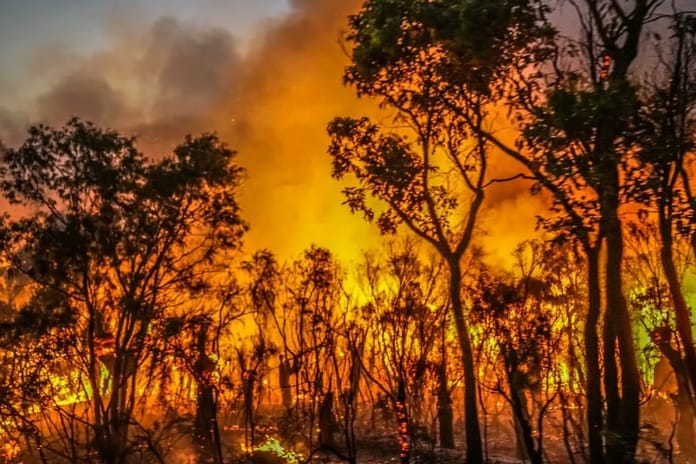 Avustralya'da orman yangını felaketi: 1 itfaiyeci öldü, 39 ev yandı