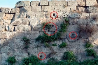 Roma'da Ateşli Silahlar