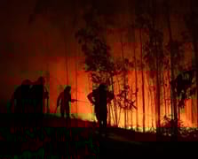 Madrid'in kuzeyinde orman yangınları çıktı: 1 ölü