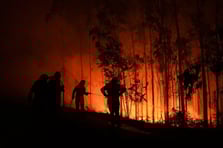 Madrid'in kuzeyinde orman yangınları çıktı: 1 ölü